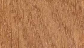 Образец № 25